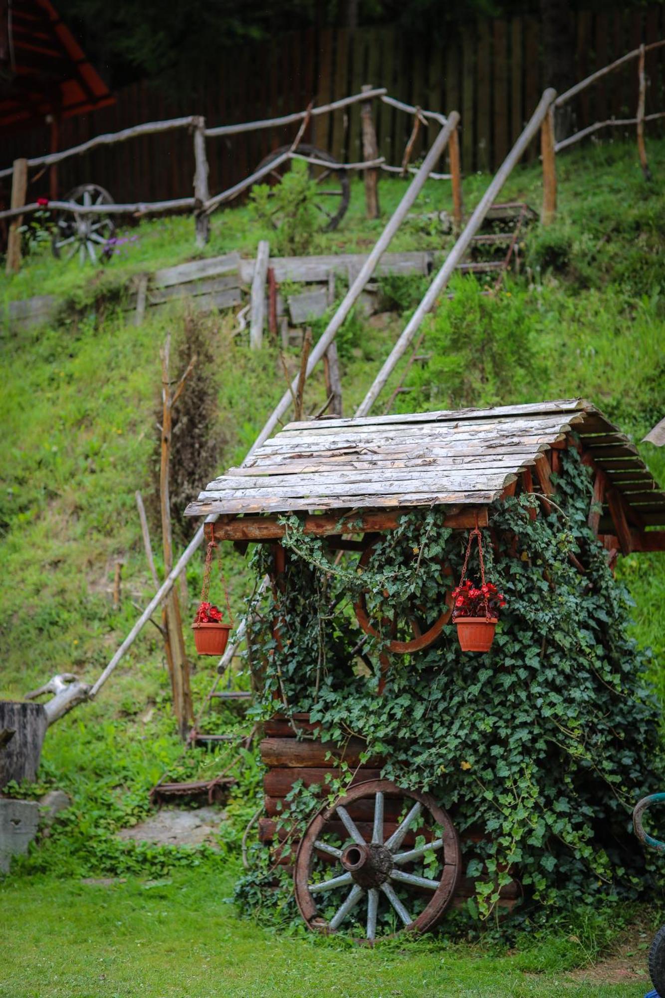 Pensiunea Cheile Albacului Exterior foto