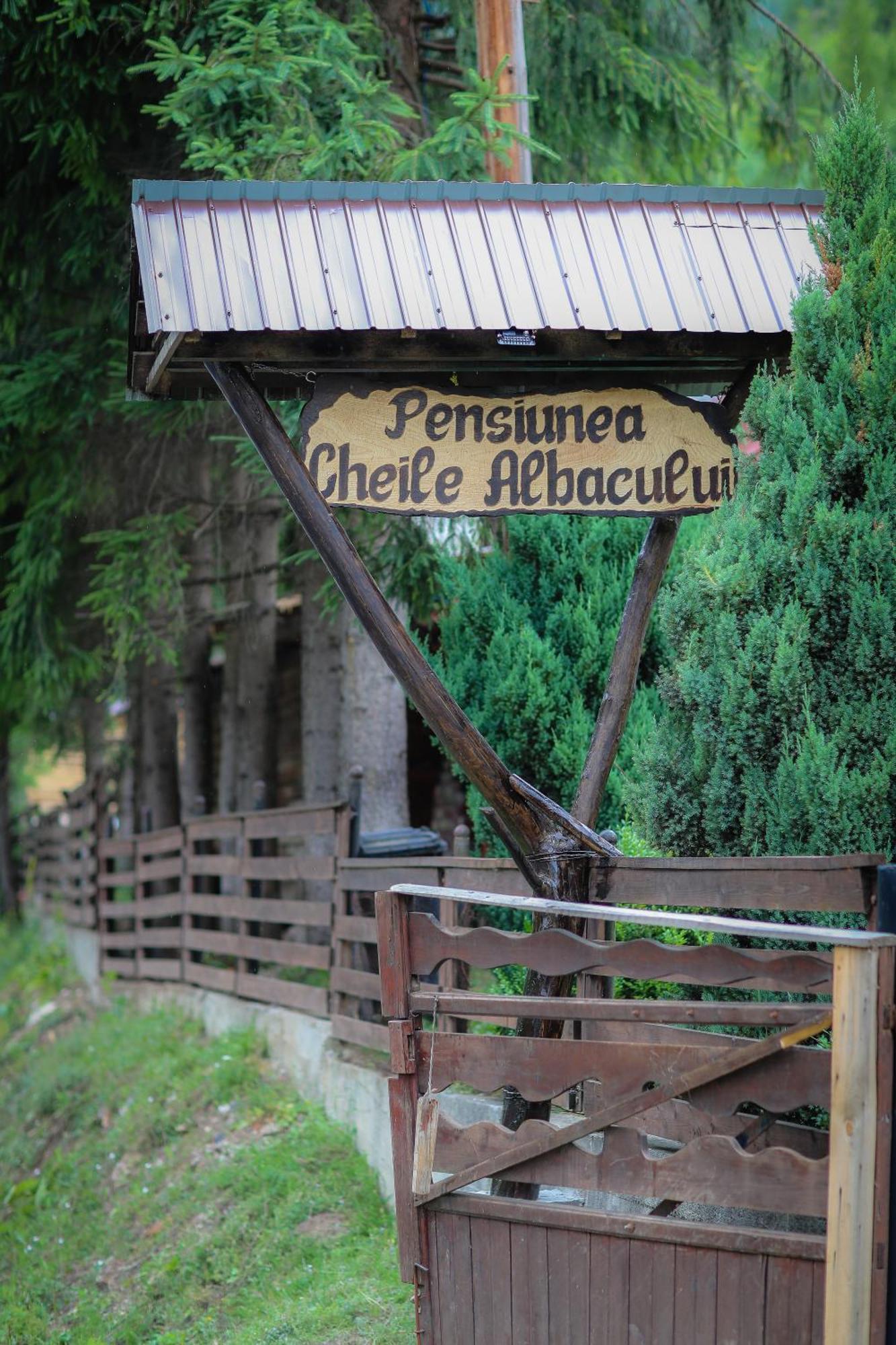 Pensiunea Cheile Albacului Exterior foto