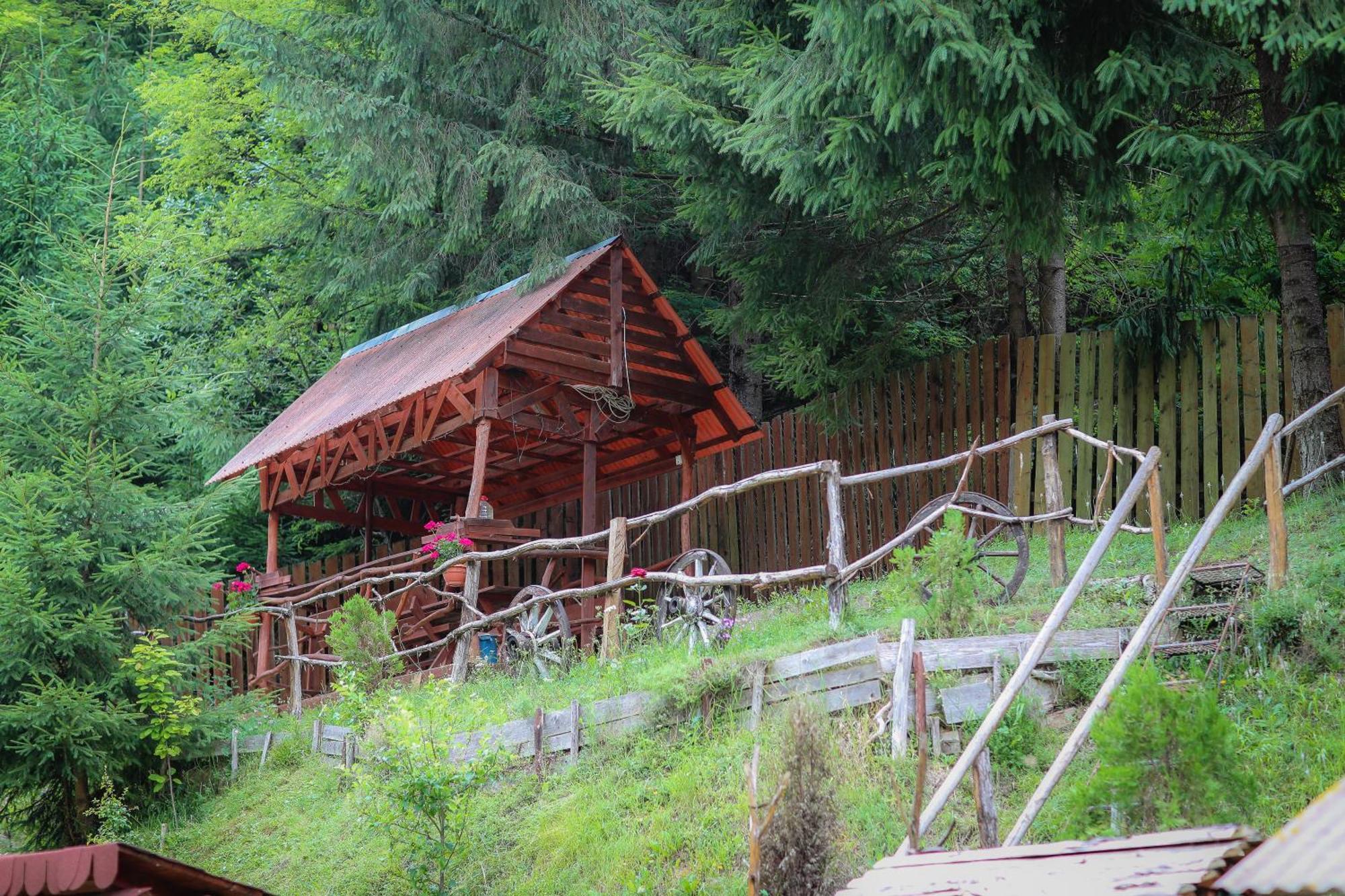 Pensiunea Cheile Albacului Exterior foto