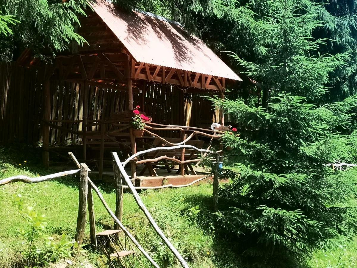 Pensiunea Cheile Albacului Exterior foto
