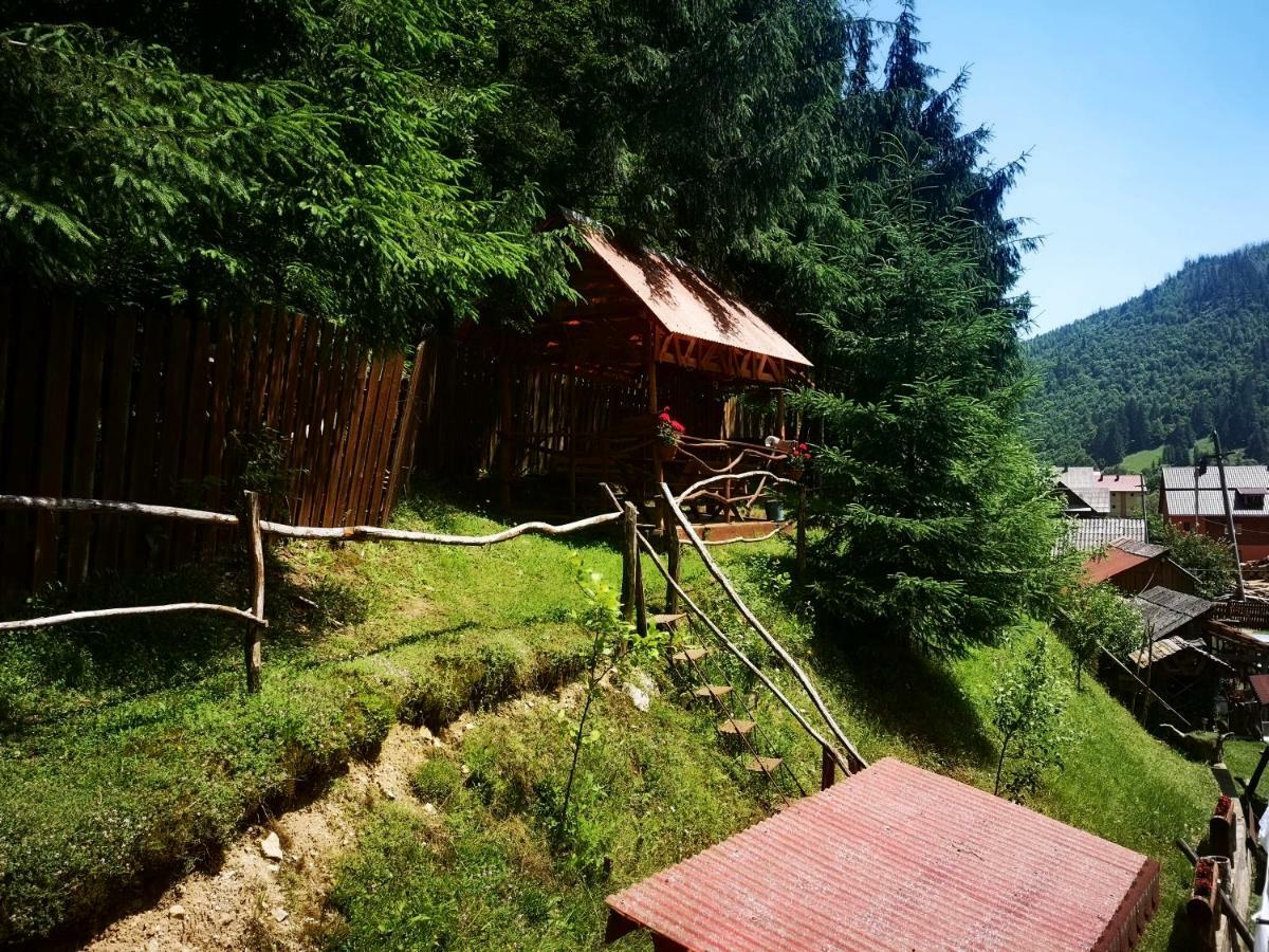 Pensiunea Cheile Albacului Exterior foto