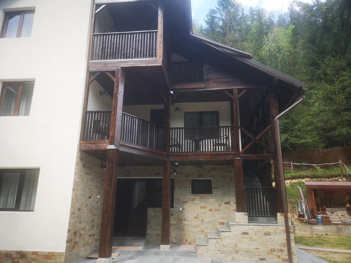Pensiunea Cheile Albacului Exterior foto